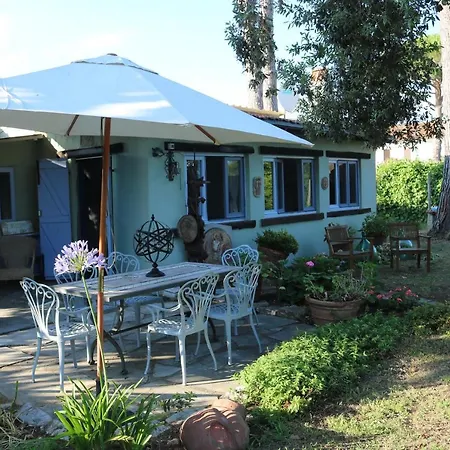 Tatil Evi Lo Dell'artista