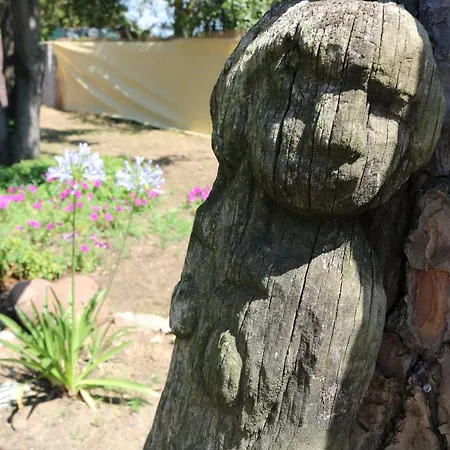 Tatil Evi Lo Dell'artista