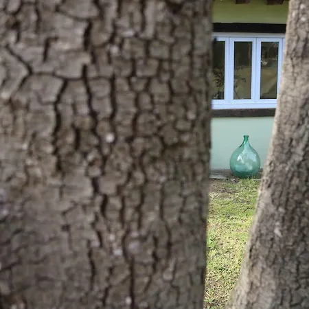 Lo Dell'artista * Torre del Lago Puccini